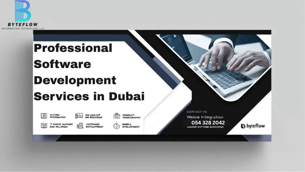 Professional-Software-Development-Services-in-Dubai